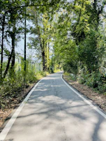 A paved pathway winding through a quiet neighborhood surrounded by tall trees.