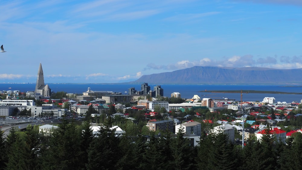 a bird flying over a city with mountains in the background