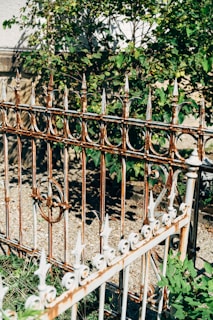 A metal garden fence with intricate design framing a blooming flower bed.