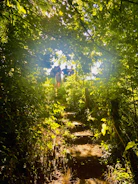 A sunlit forest trail with models wearing layered boho outdoor clothing in forest green and burnt amber tones.
