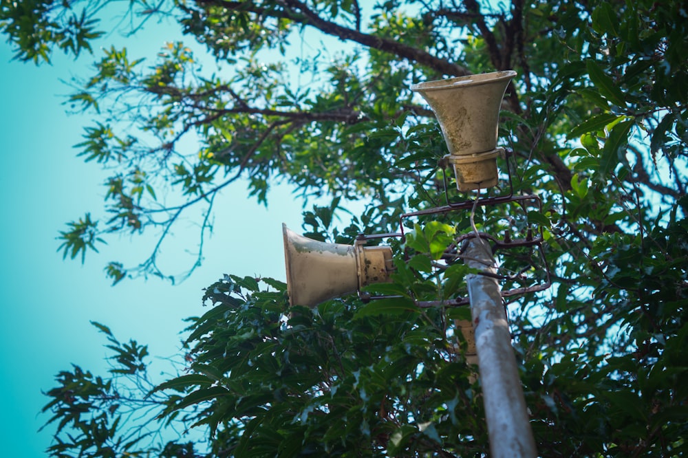 a couple of brown vases sitting on top of a tree