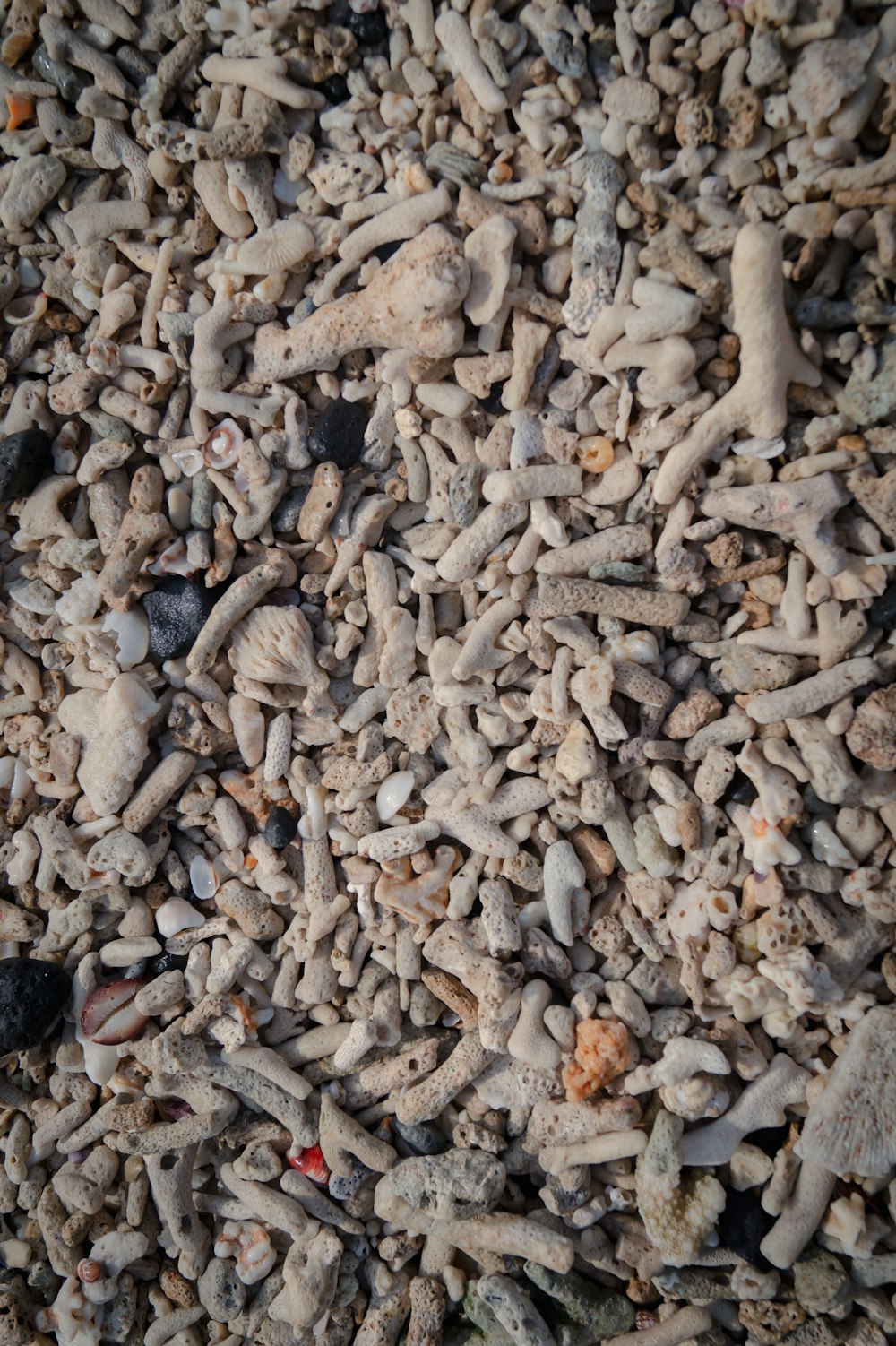 a close up of a pile of rocks and gravel
