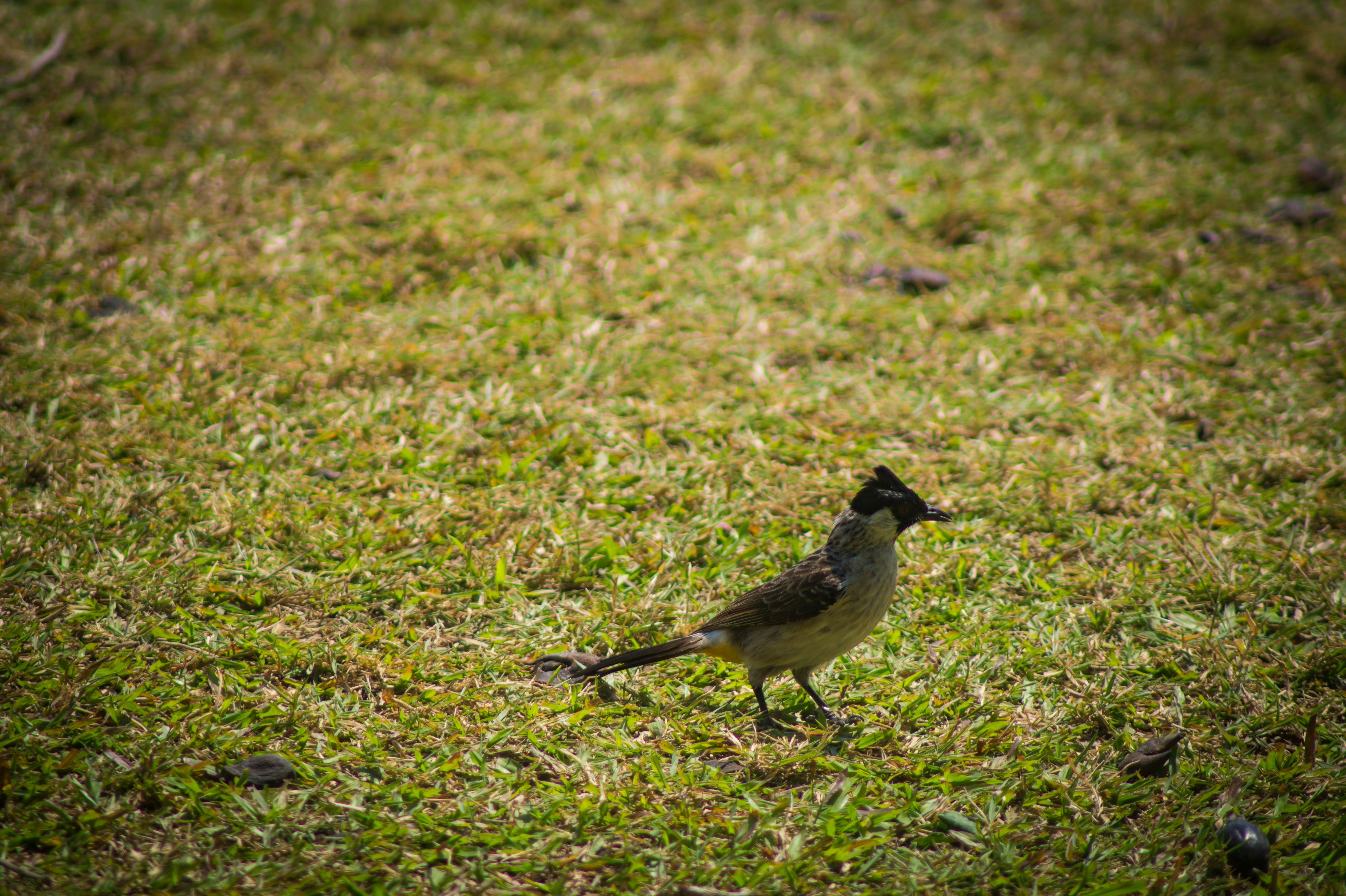 Photo by creativio_codex