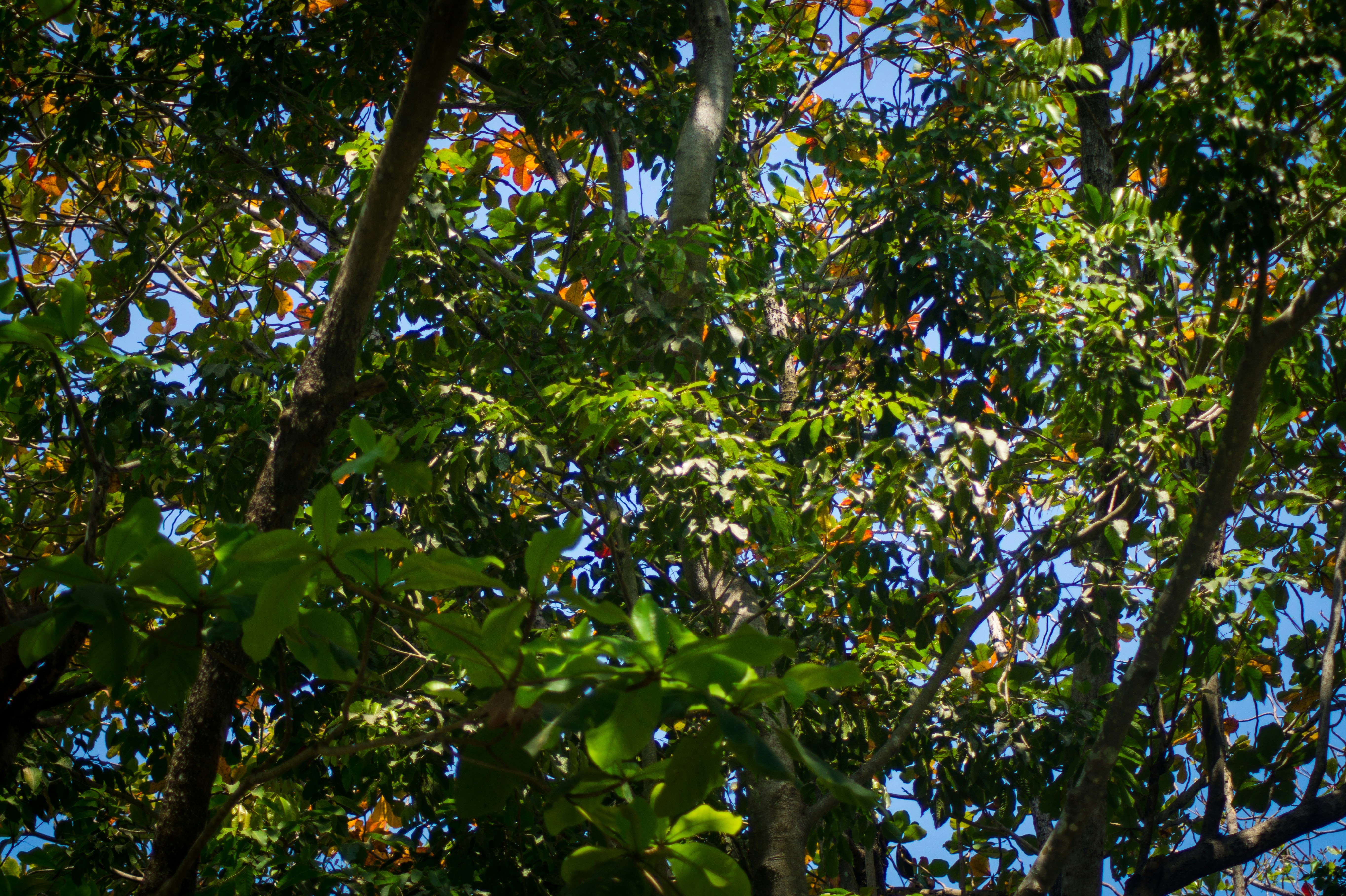 Photo by creativio_codex