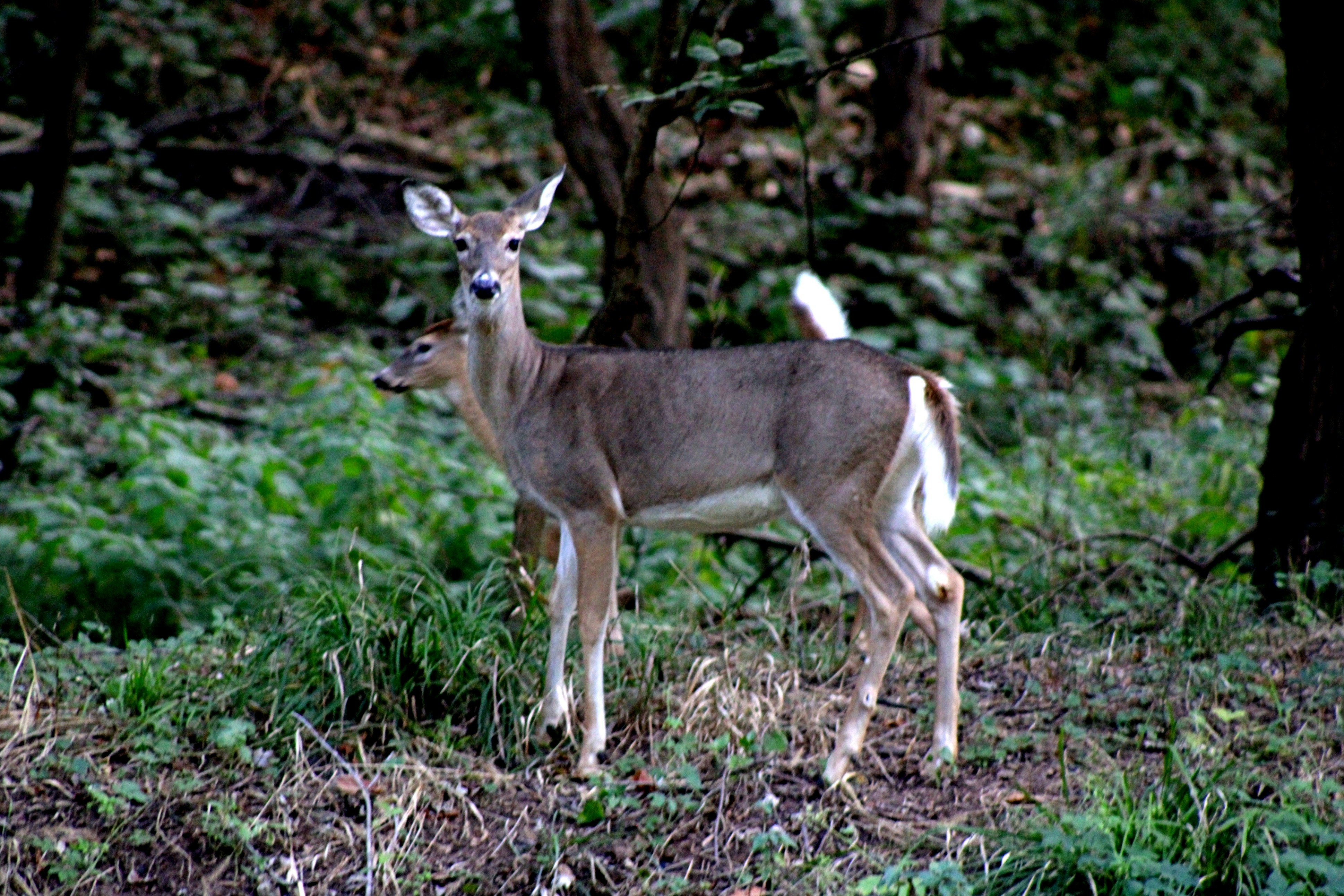 Photo by charles_ray