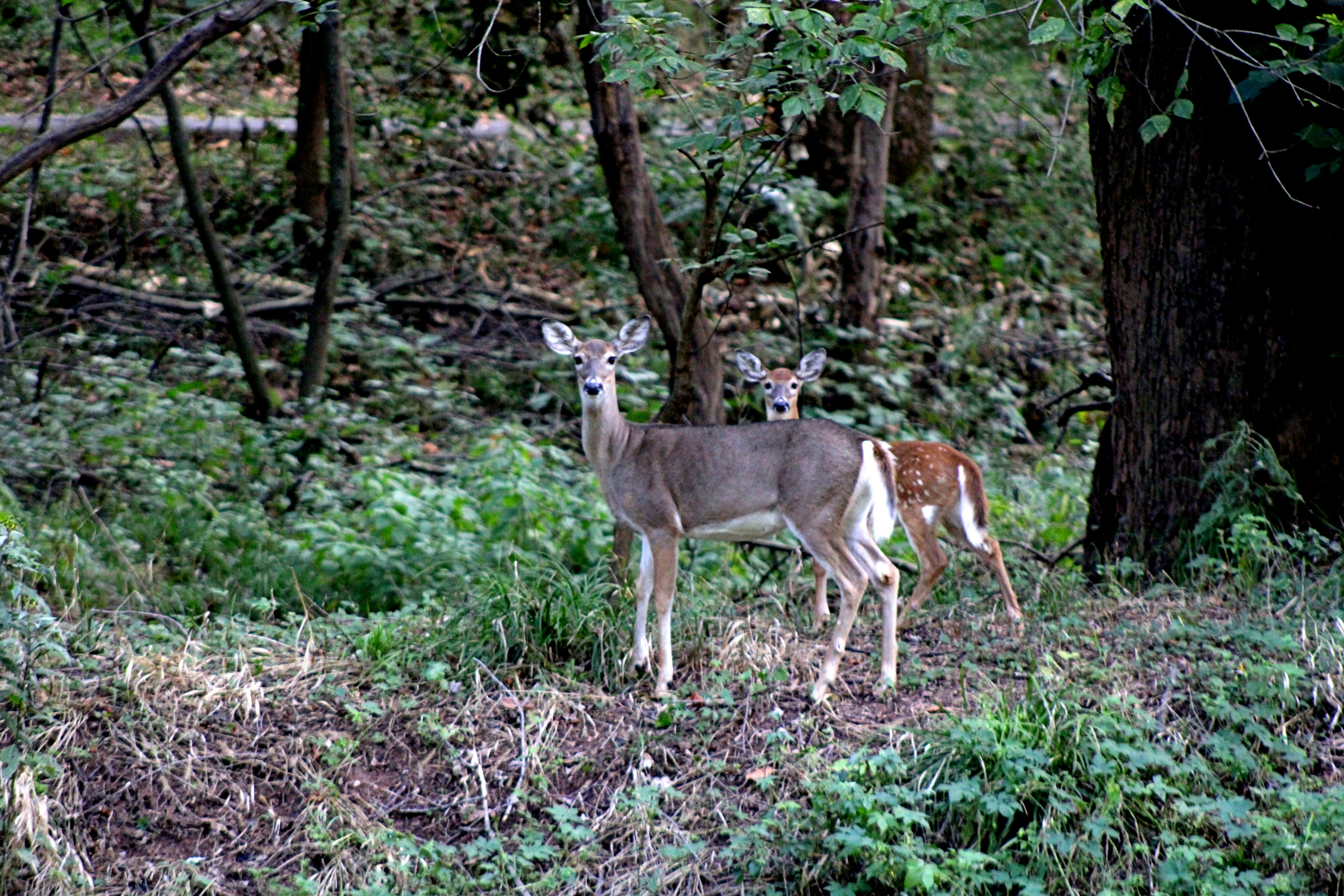 Photo by charles_ray