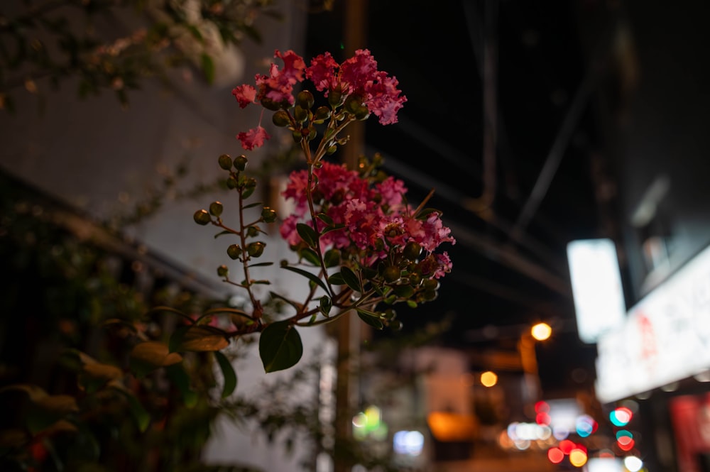 Un ramo de flores que están en un poste