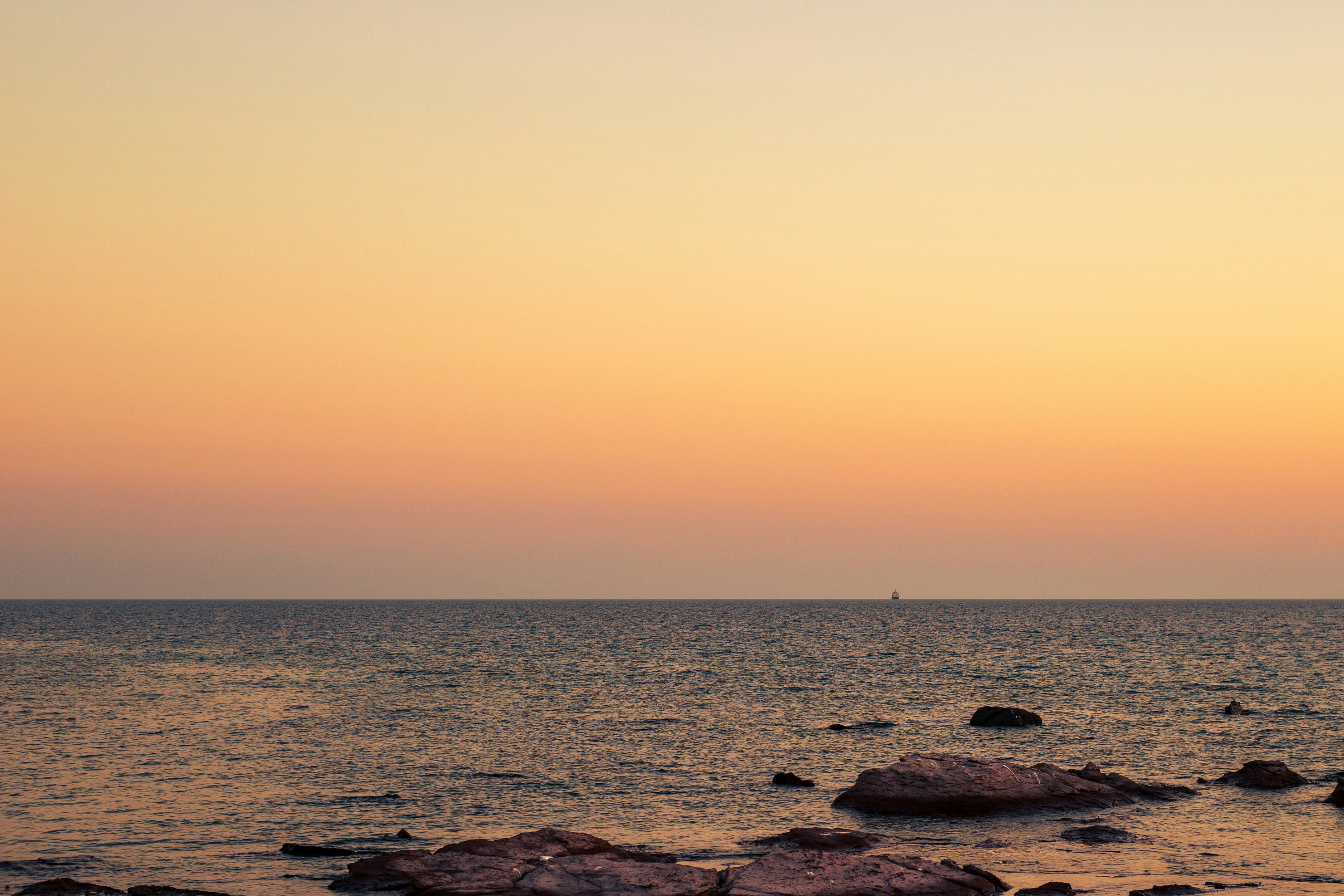 Photo by michelelana