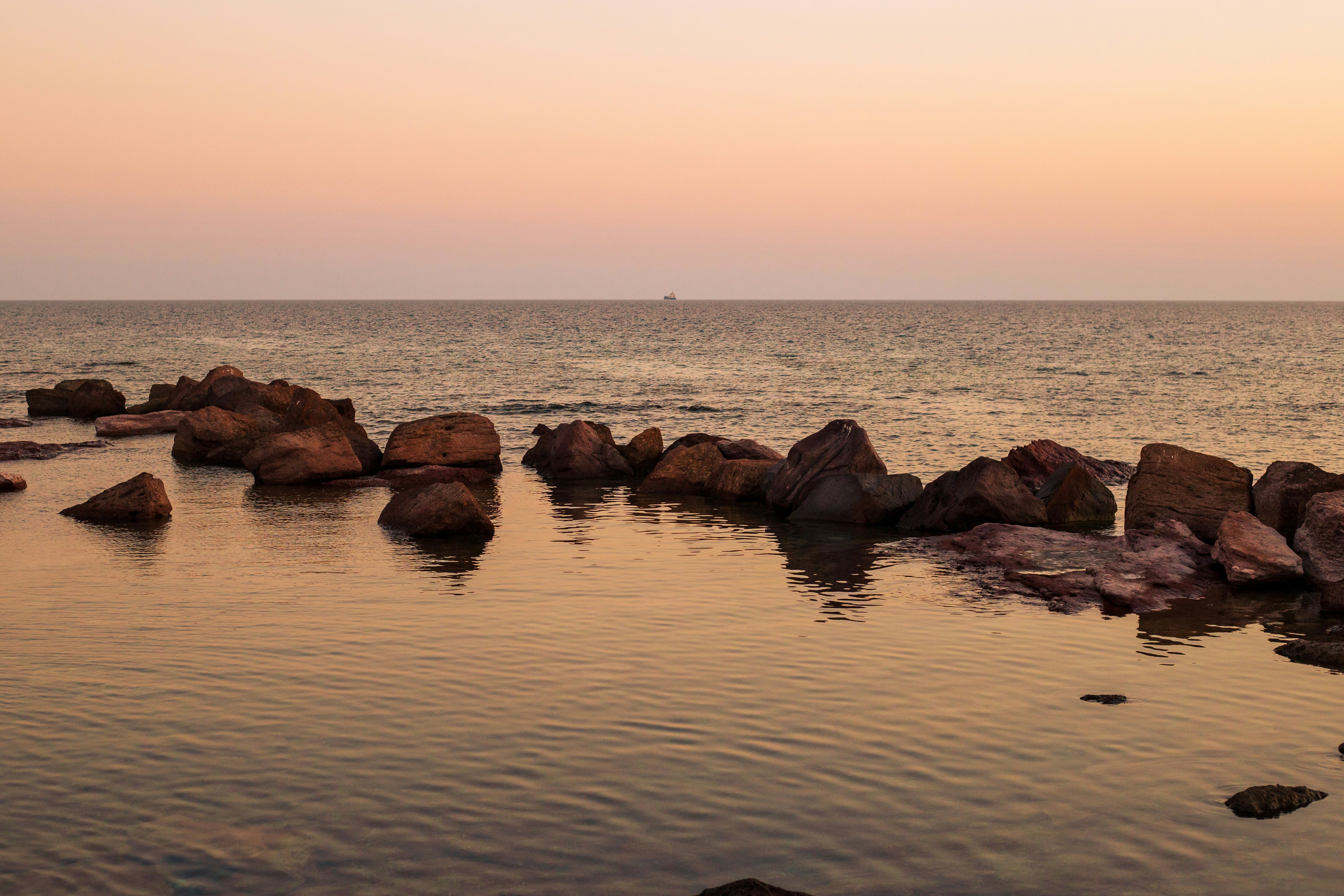 Photo by michelelana