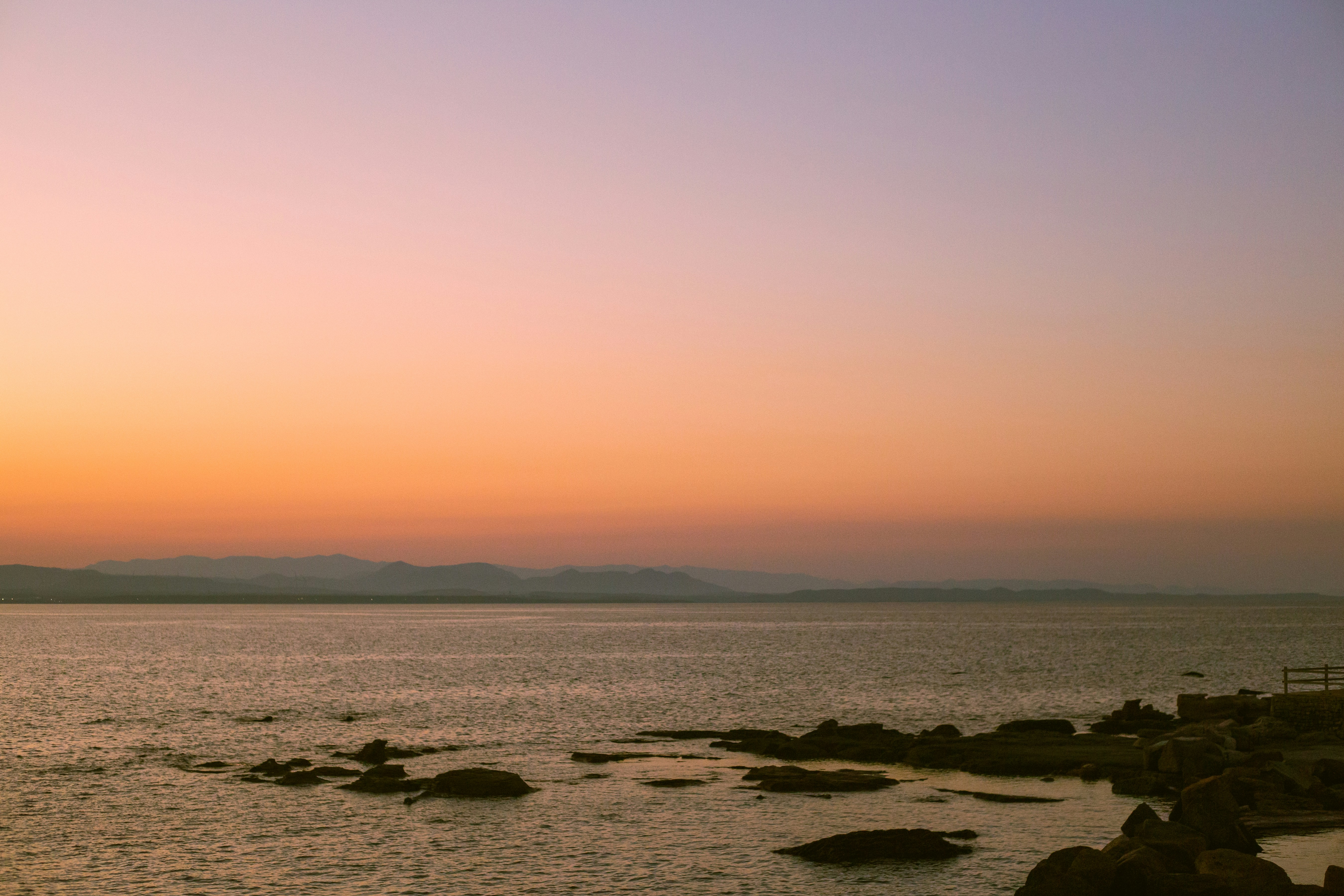 Photo by michelelana