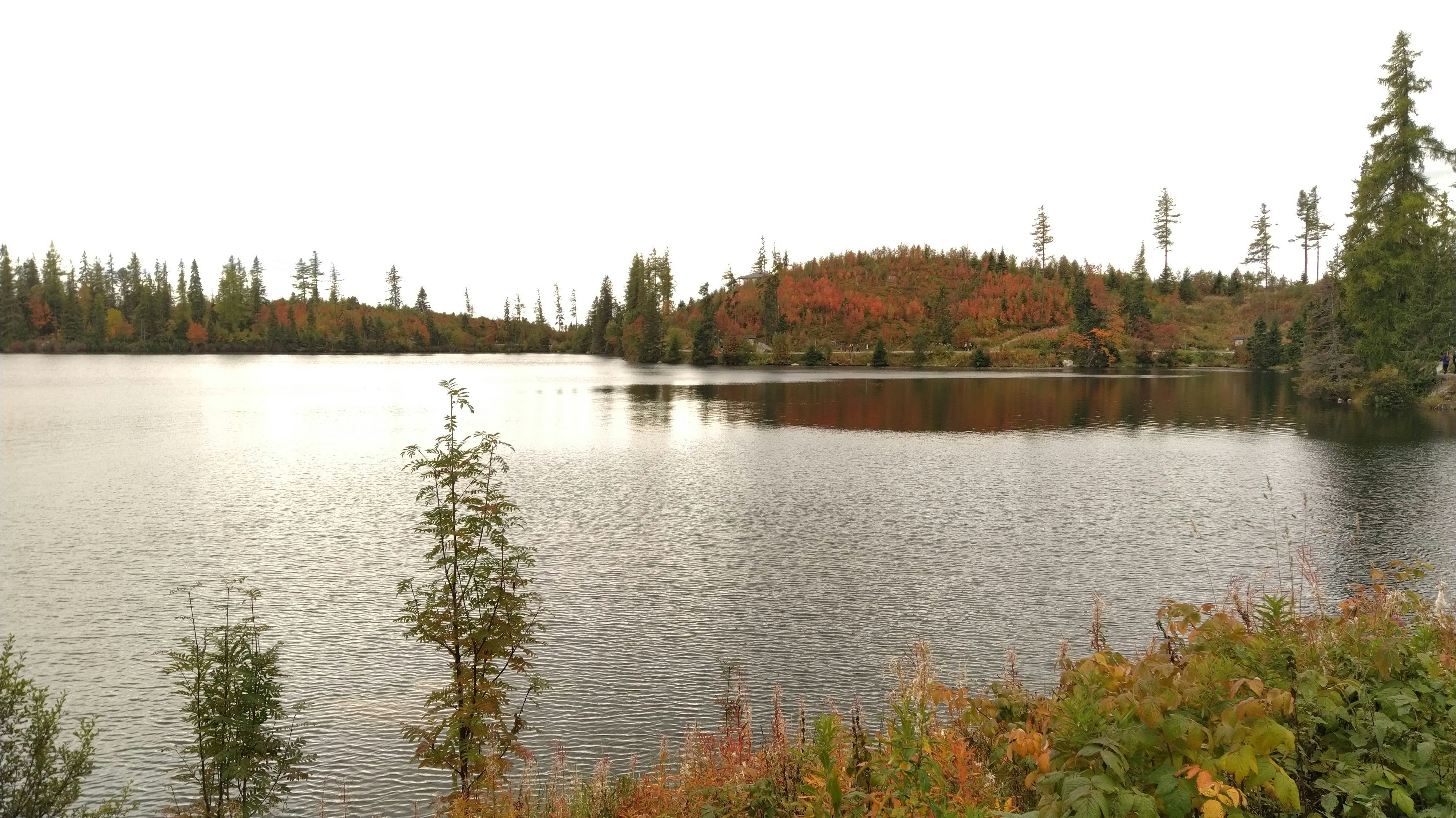 Photo by krzychugamers