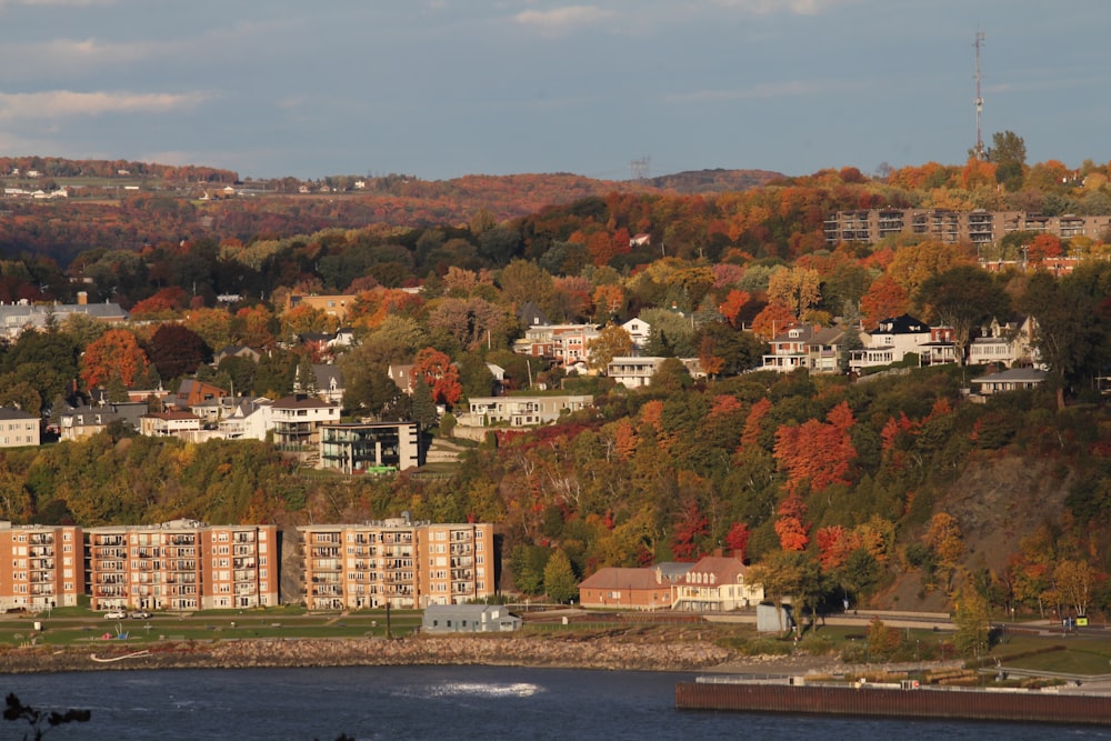 a view of a city with a lake in front of it