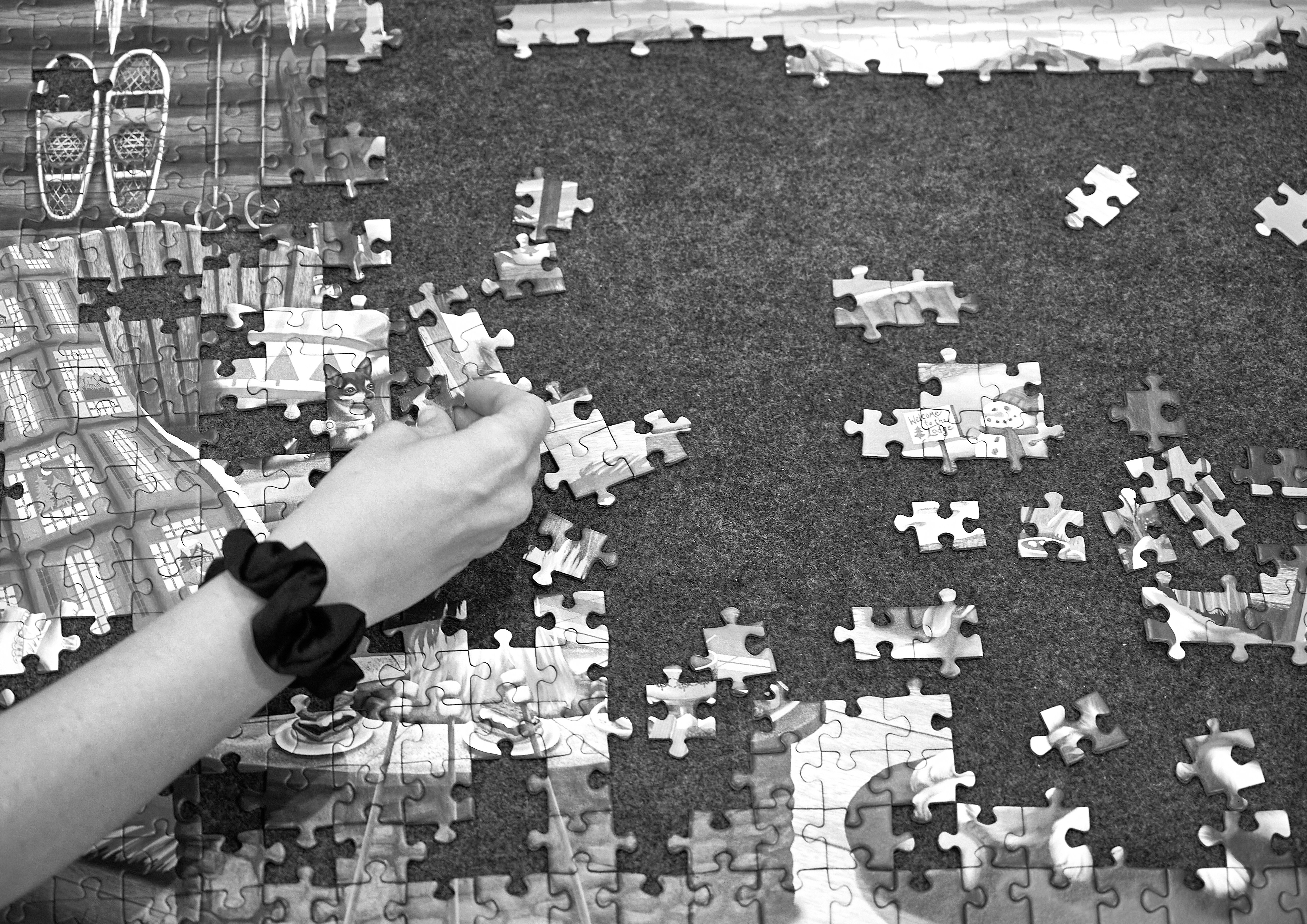 Mind-Bending Puzzle Set