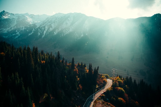 A winding road cuts through a forested valley with tall evergreen trees. In the background, majestic snow-capped mountains rise under a hazy sky. Sunlight filters through clouds, casting a soft glow over the landscape, and golden autumn foliage adds a touch of warmth to the scenery.