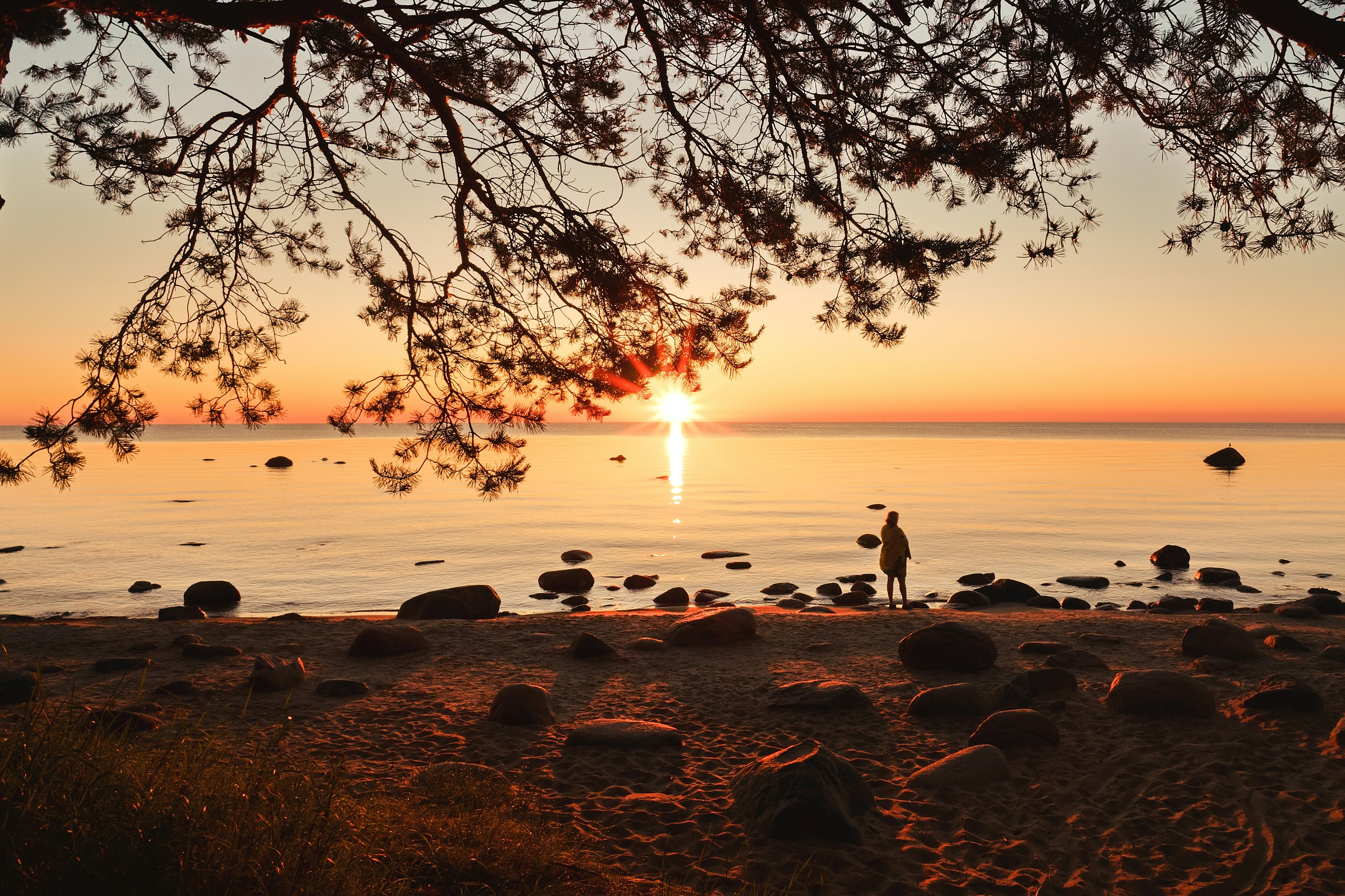 Photo by andruslukas