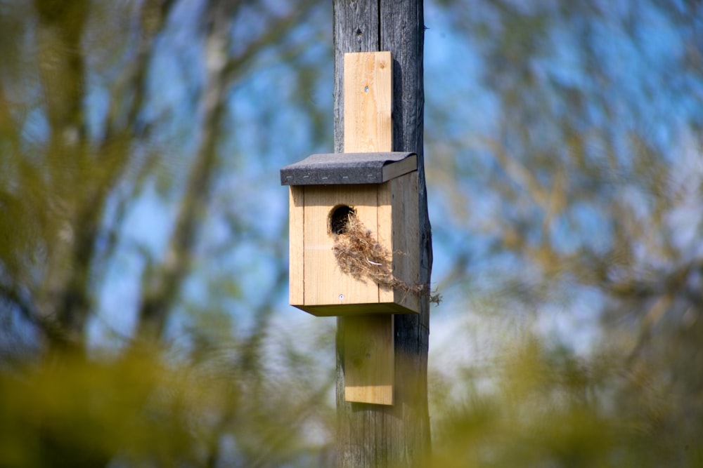a bird house hanging from a wooden pole