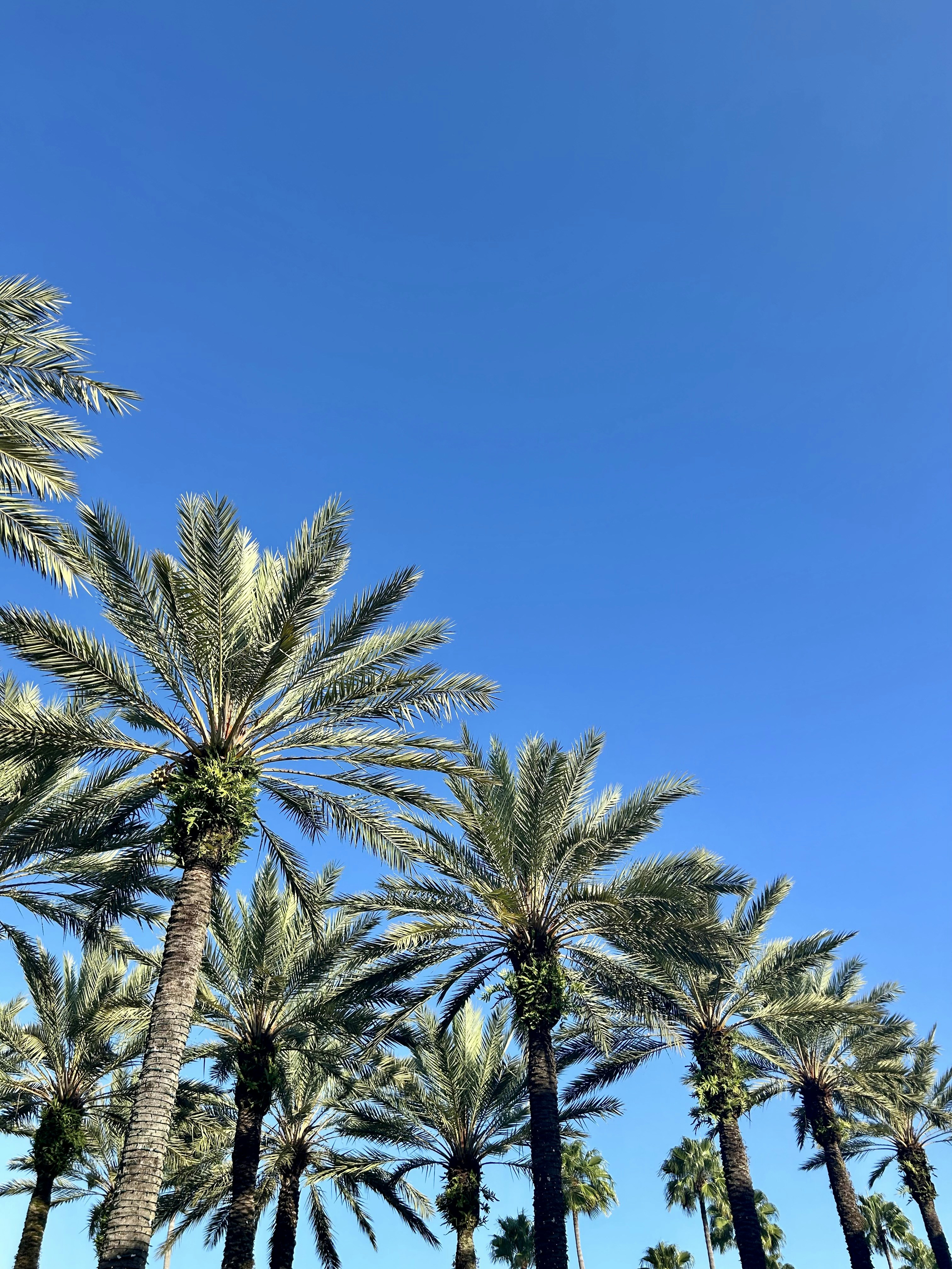 Orlando – Safety, Health & Local Etiquette