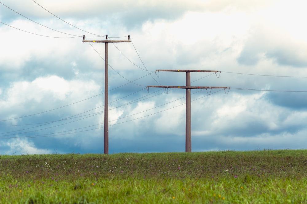 a grassy field with power lines in the background