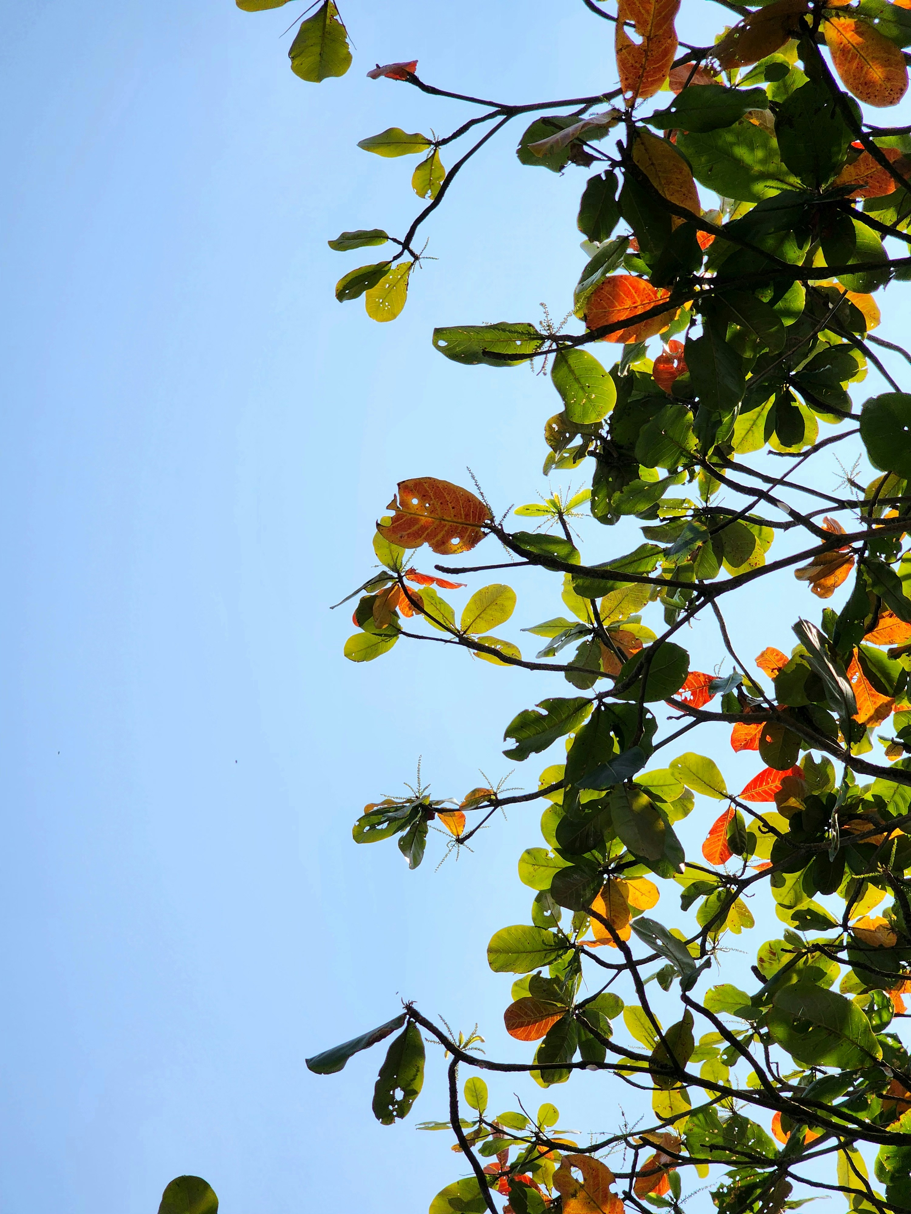 Photo by mrinalrajac