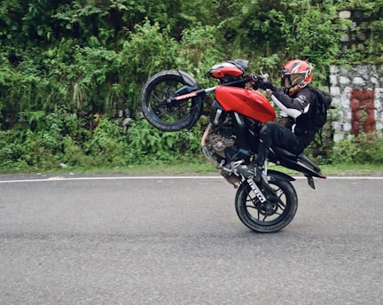 A motorcyclist performs a wheelie on a red motorcycle along a paved road bordered by dense green foliage. The rider is wearing a colorful helmet and protective gear.