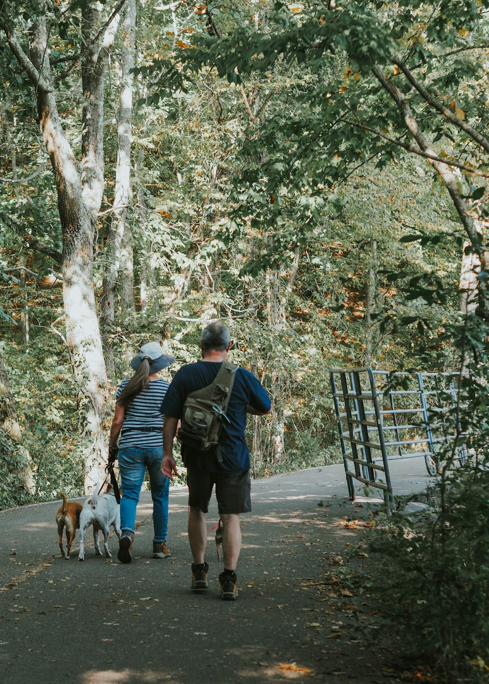 a man and a woman walking their dogs on a path