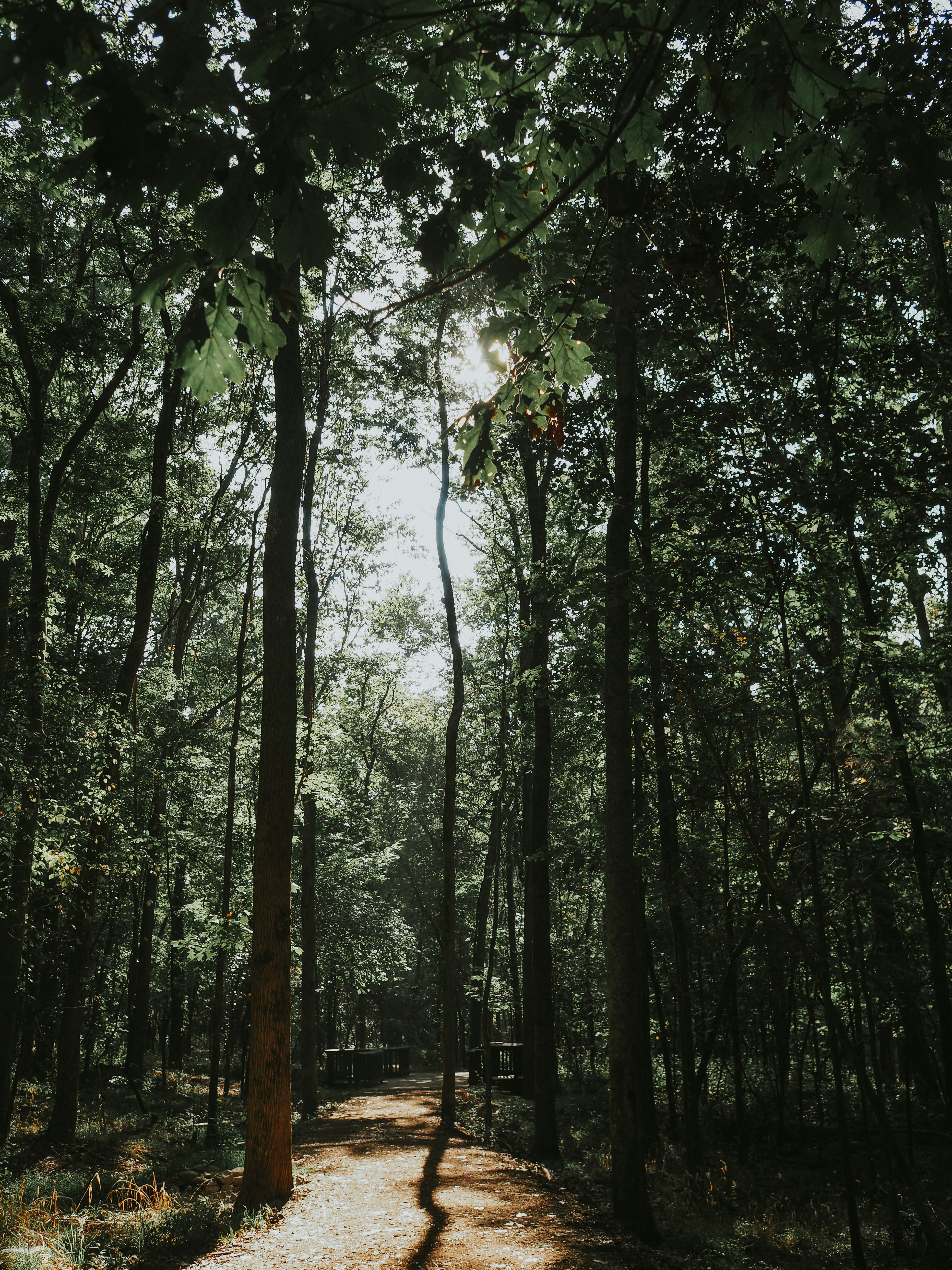 Photo by fieldworkframes