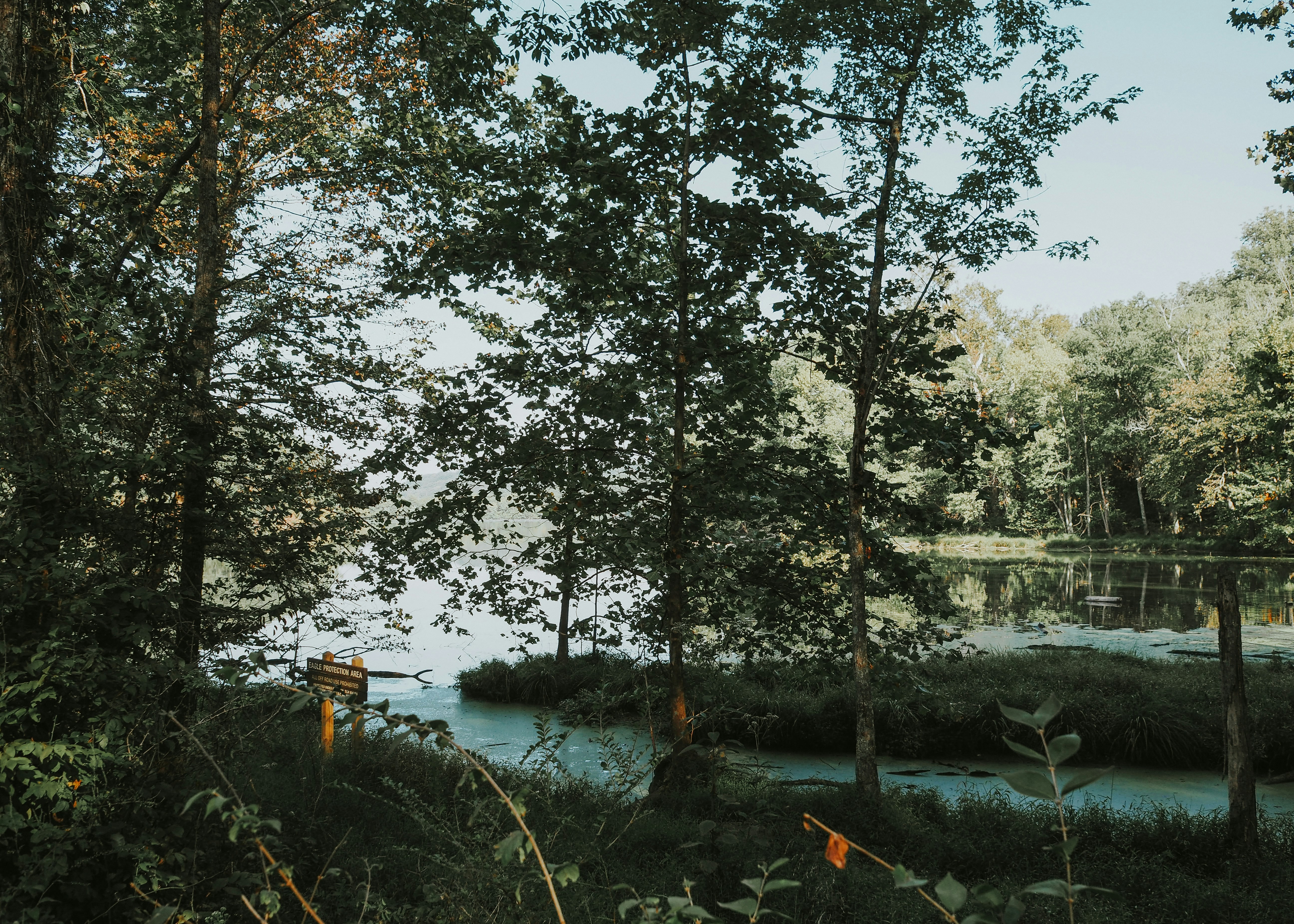 Photo by fieldworkframes