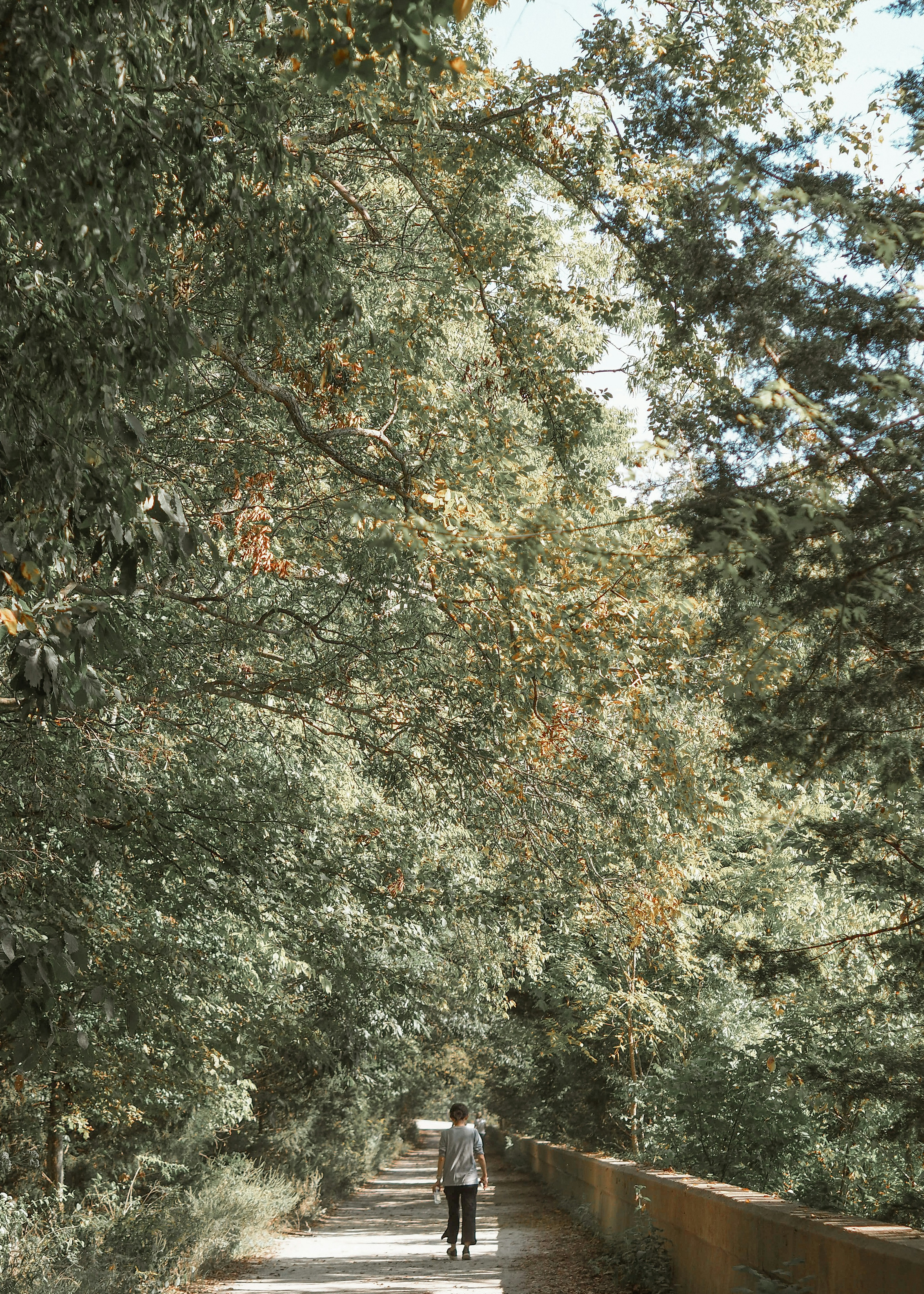 Photo by fieldworkframes