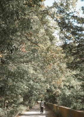 Visitors walking along a shaded path lined with native trees and blooming flowers.