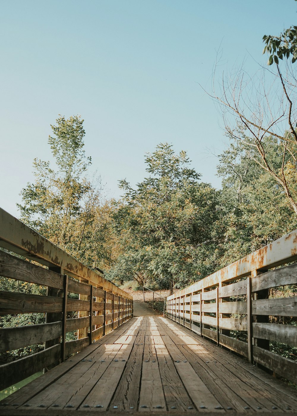 a long wooden bridge with trees in the background