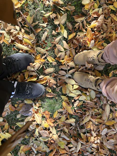 A pair of stylish casual shoes resting on a wooden bench with autumn leaves around.