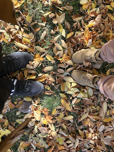 Two pairs of shoes on a ground covered with fallen autumn leaves. The shoes are in black and tan colors, surrounded by leaves in shades of yellow, orange, and brown, with patches of green grass visible.
