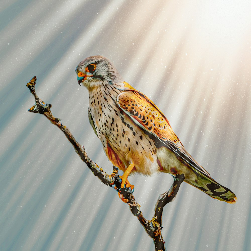 a bird is perched on a branch in the snow