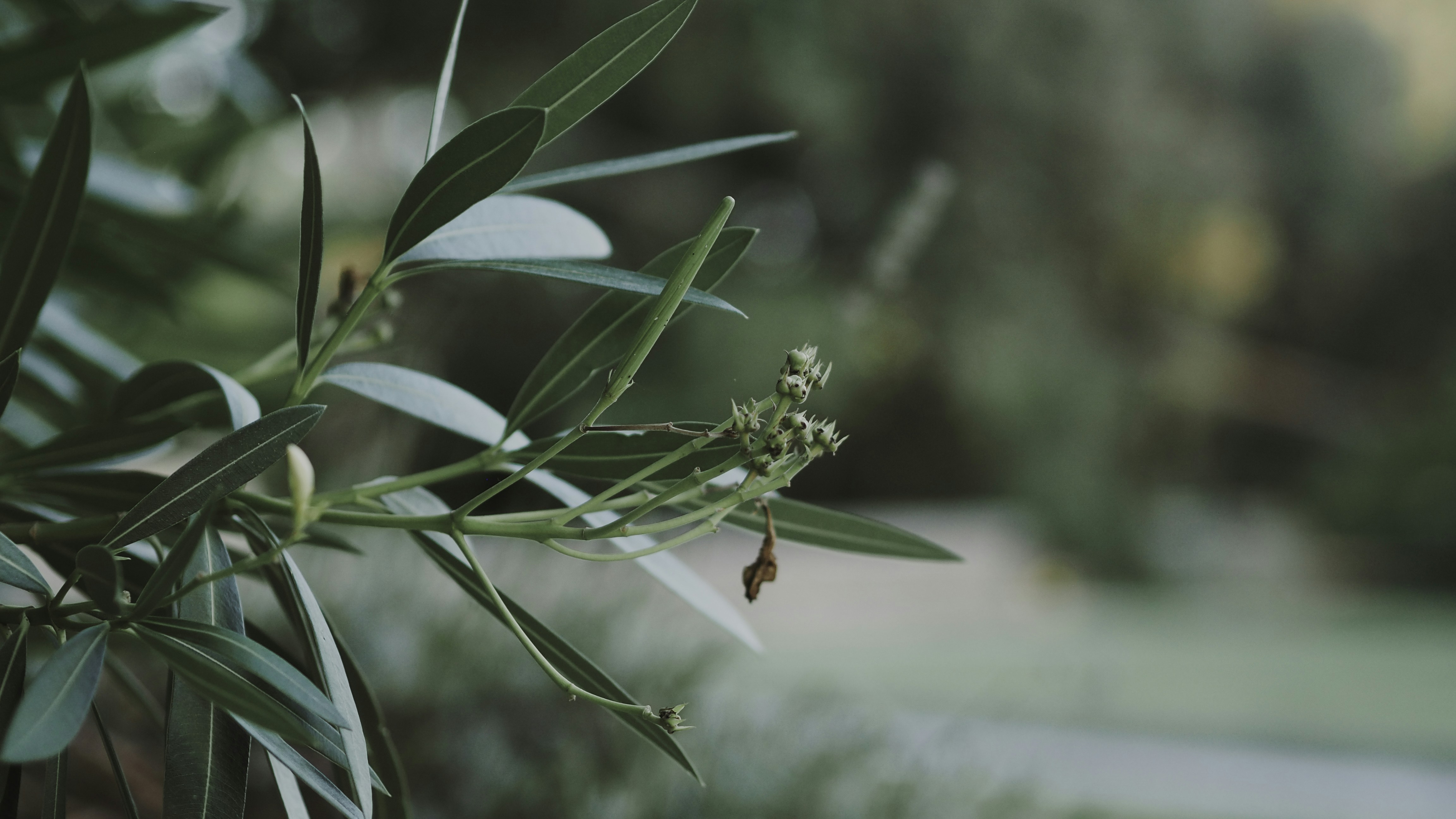 Photo by laurachouette