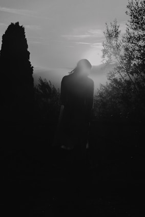 A shadowy figure standing at the edge of a foggy forest under a pale moonlight.