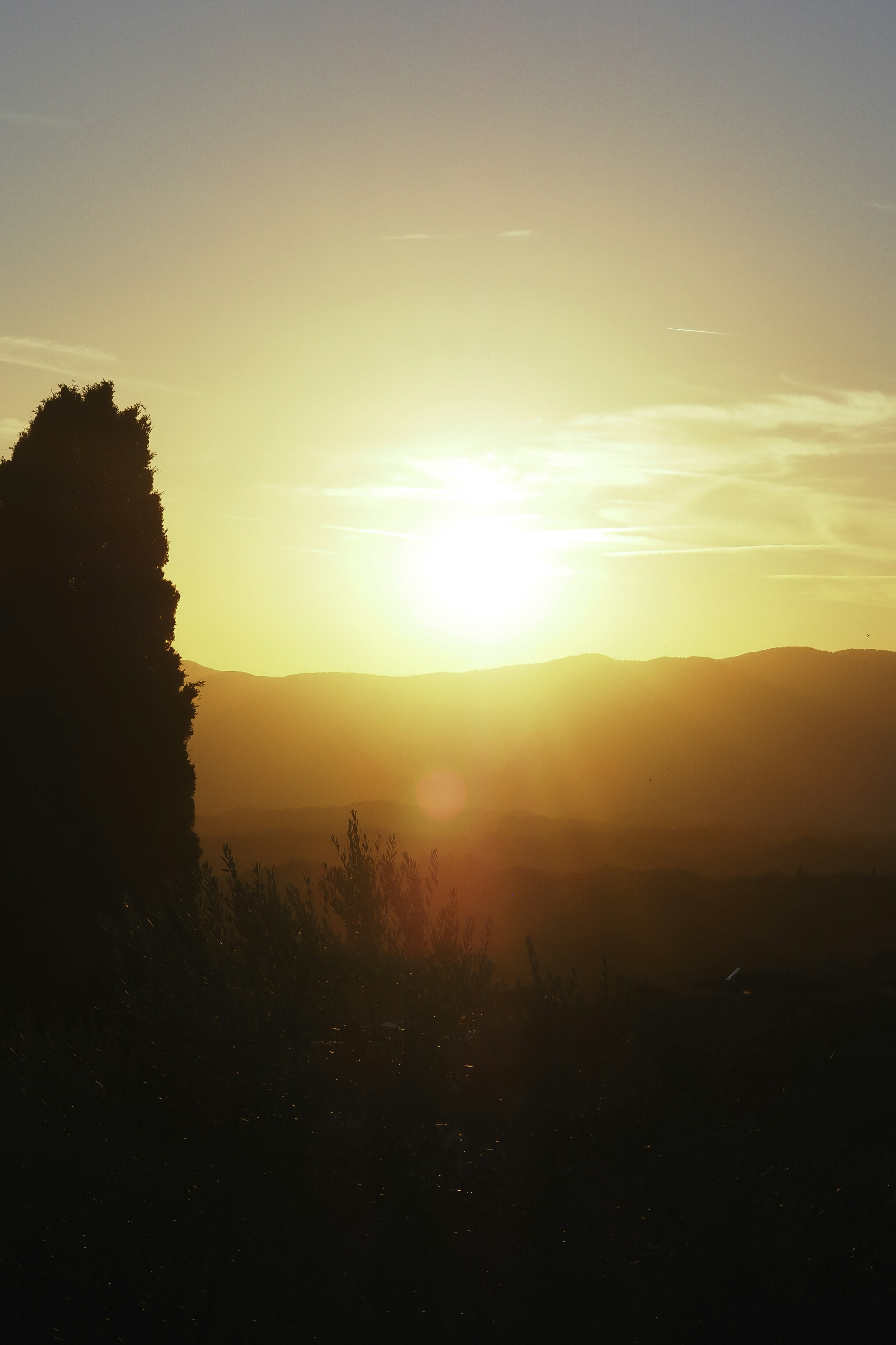 Photo by laurachouette