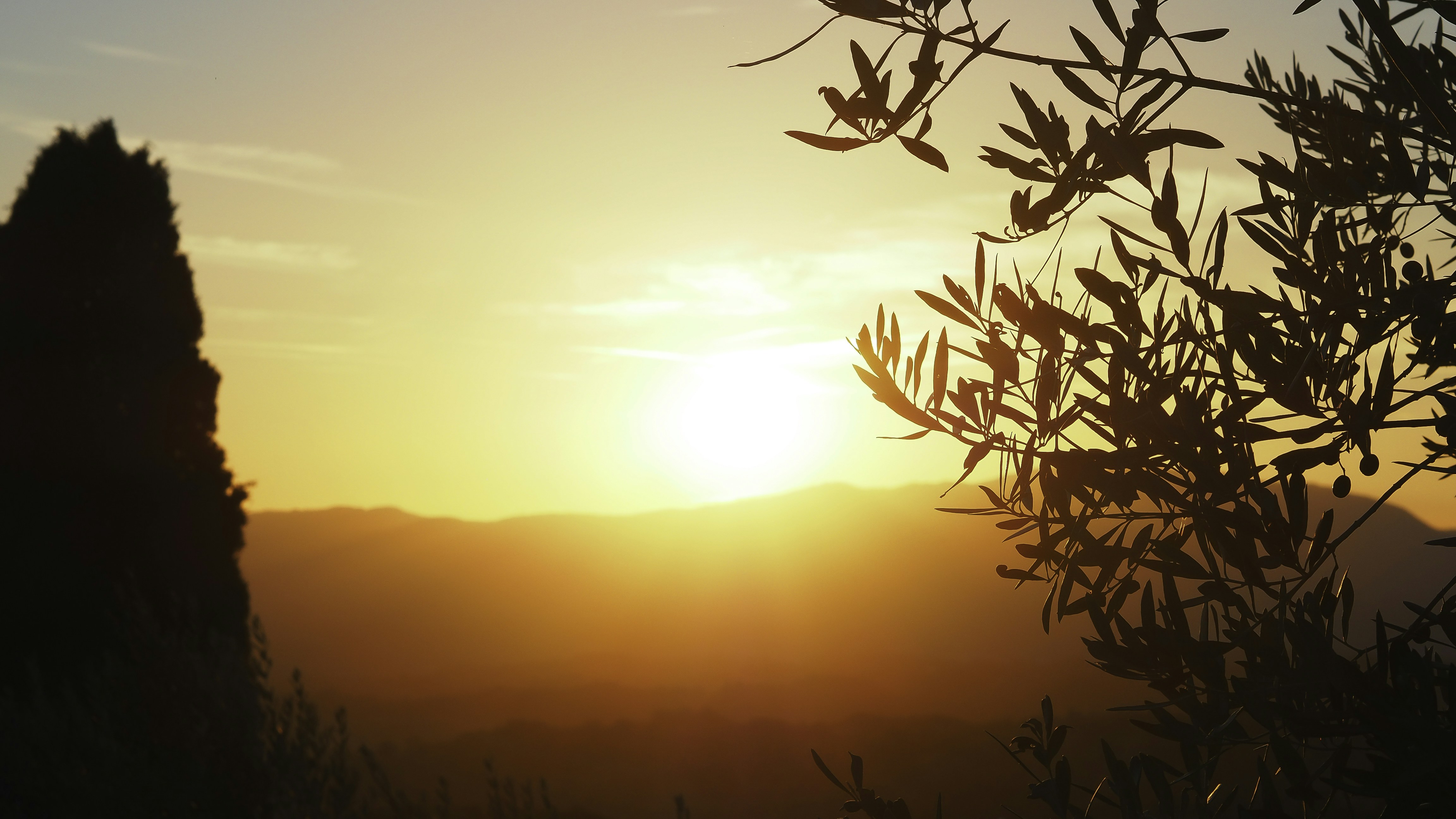 Photo by laurachouette