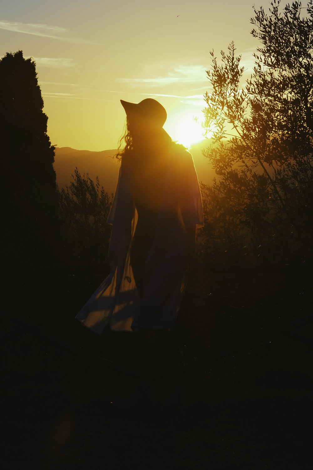 a woman in a long dress walking towards the sun