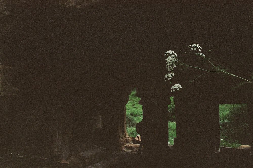 a person standing in a dark tunnel with trees in the background