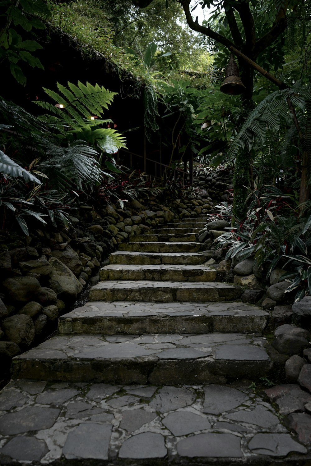 a set of stone steps leading up to a forest