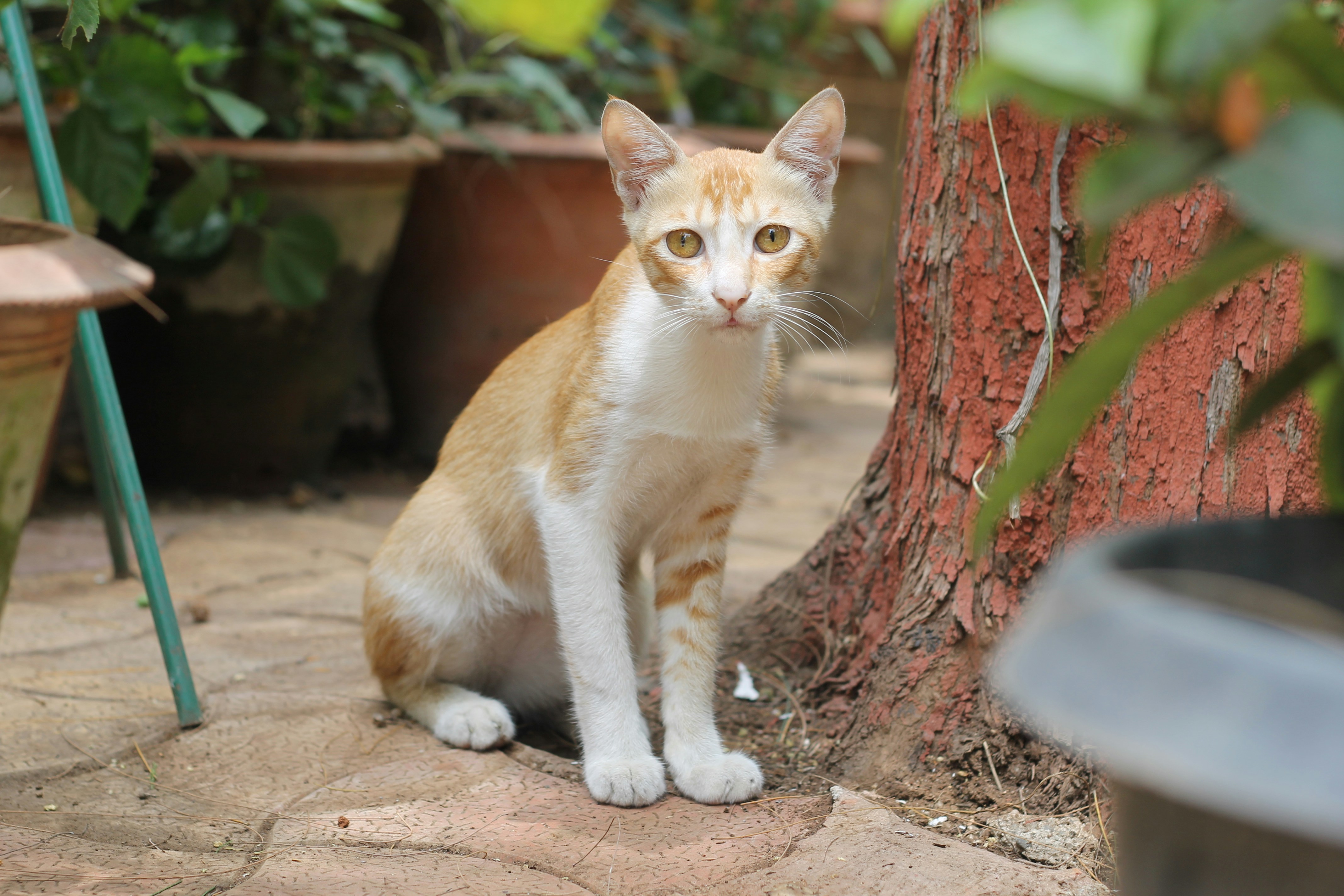 Photo by thepicspective