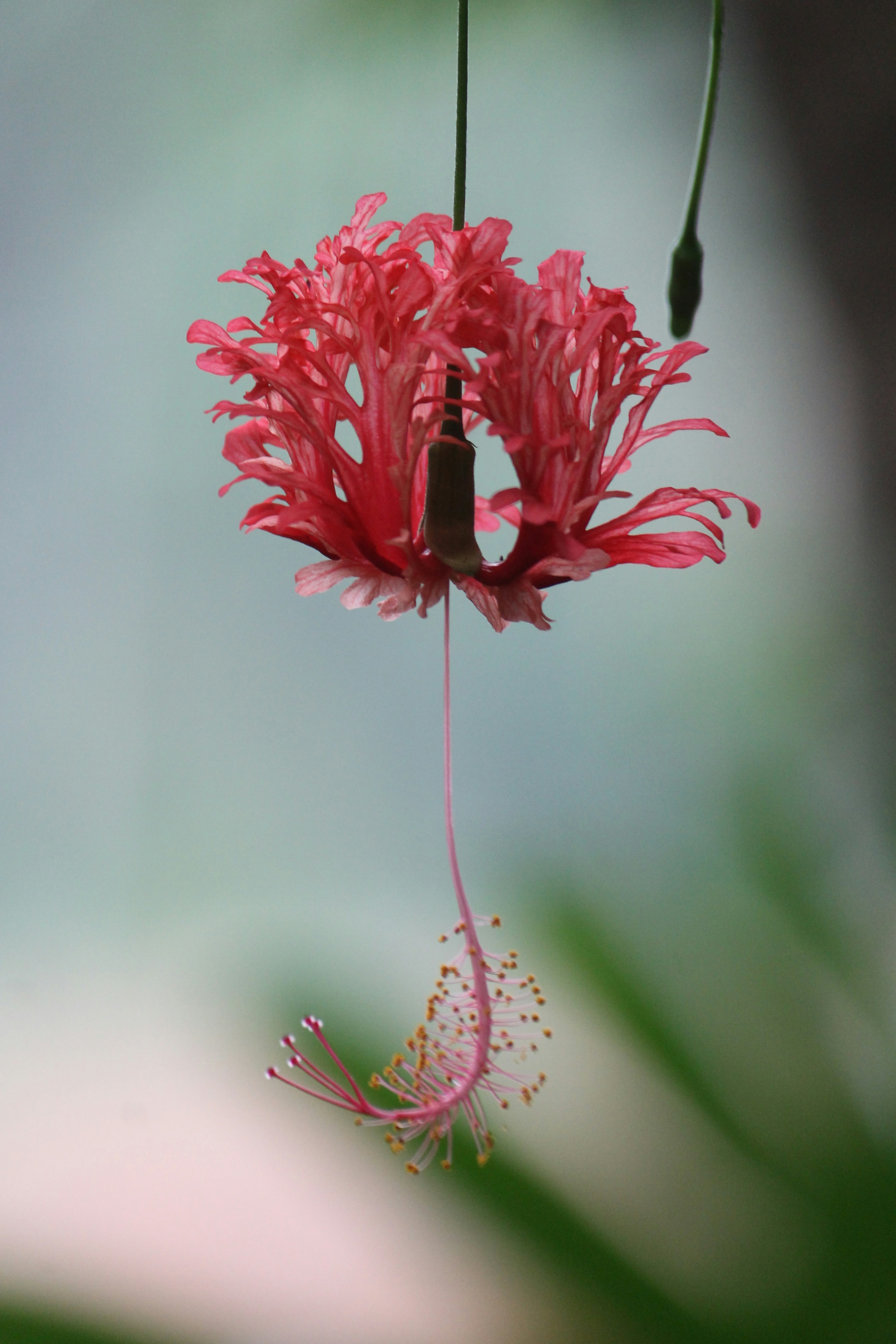 Photo by thepicspective