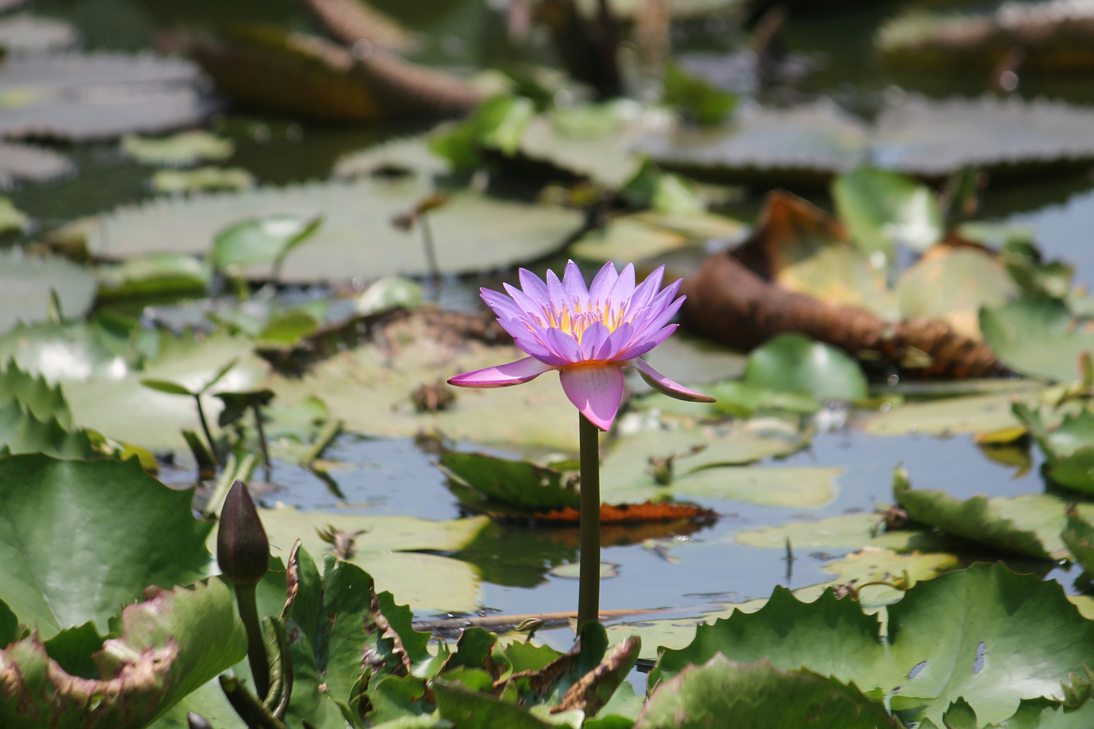 Photo by thepicspective