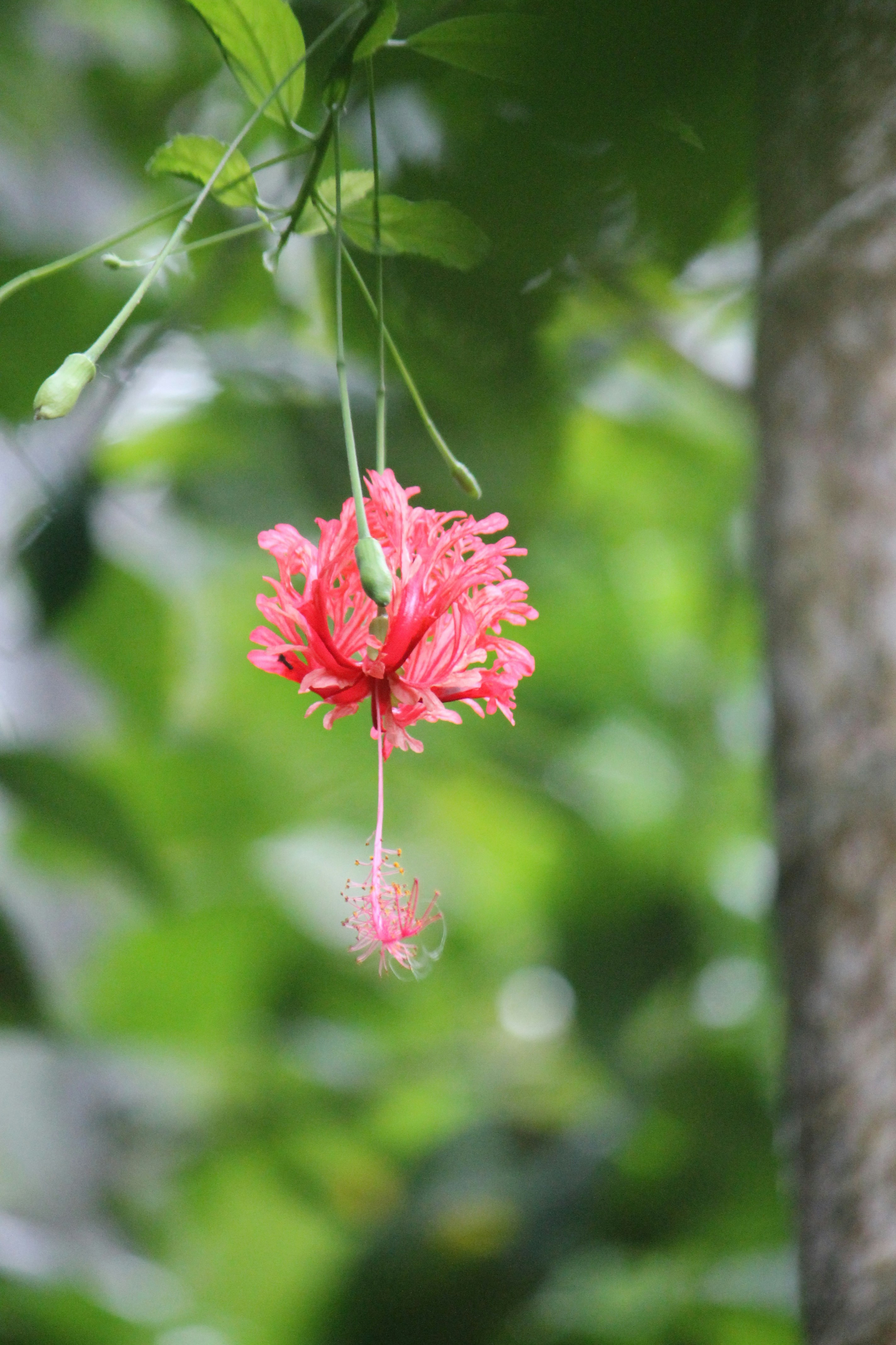 Photo by thepicspective