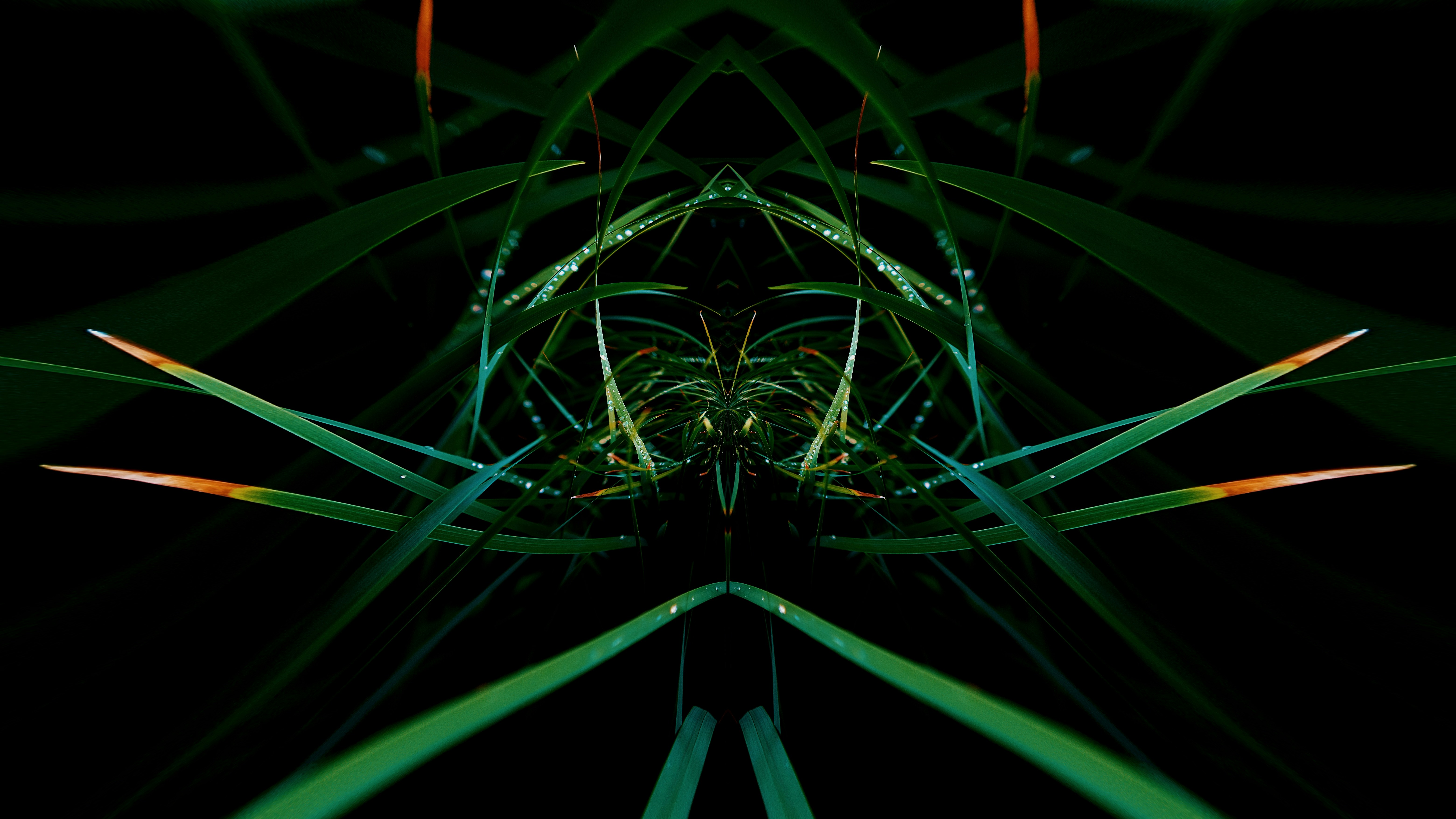 an abstract image of green and yellow lines