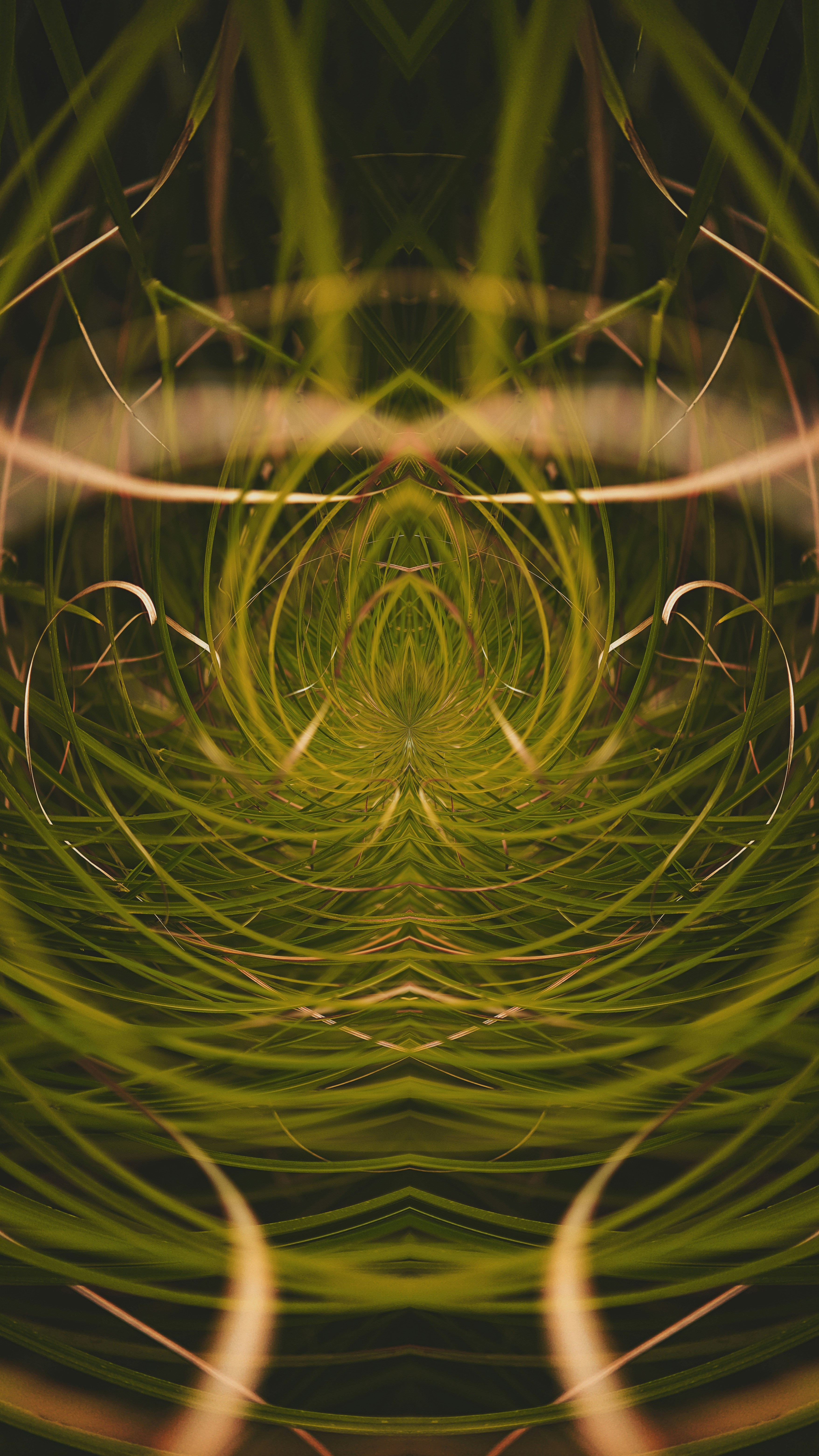 an abstract image of green and yellow lines