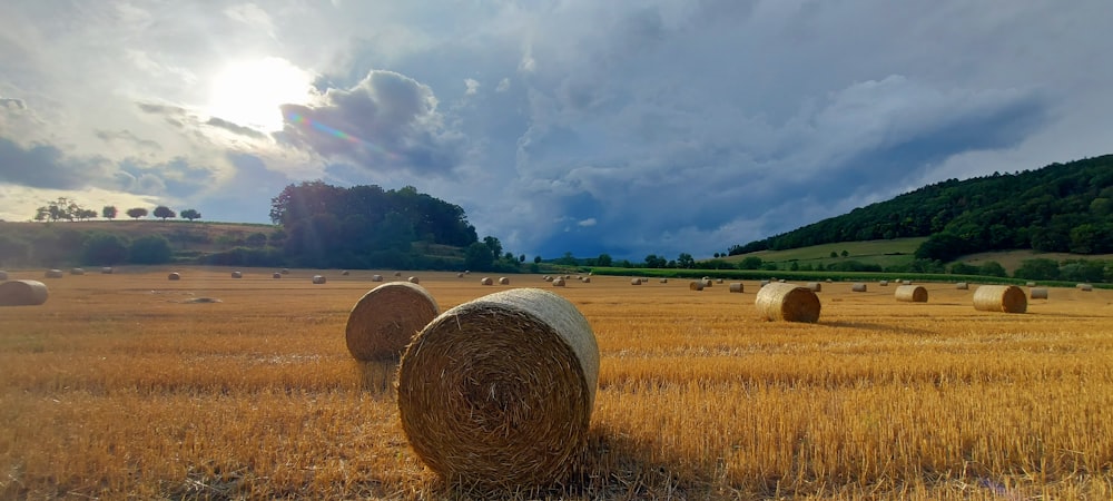 a field full of hay bales under a cloudy sky