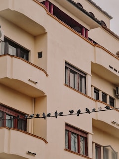 A neat row of pigeon nets installed across multiple ducts in a Chennai apartment complex.