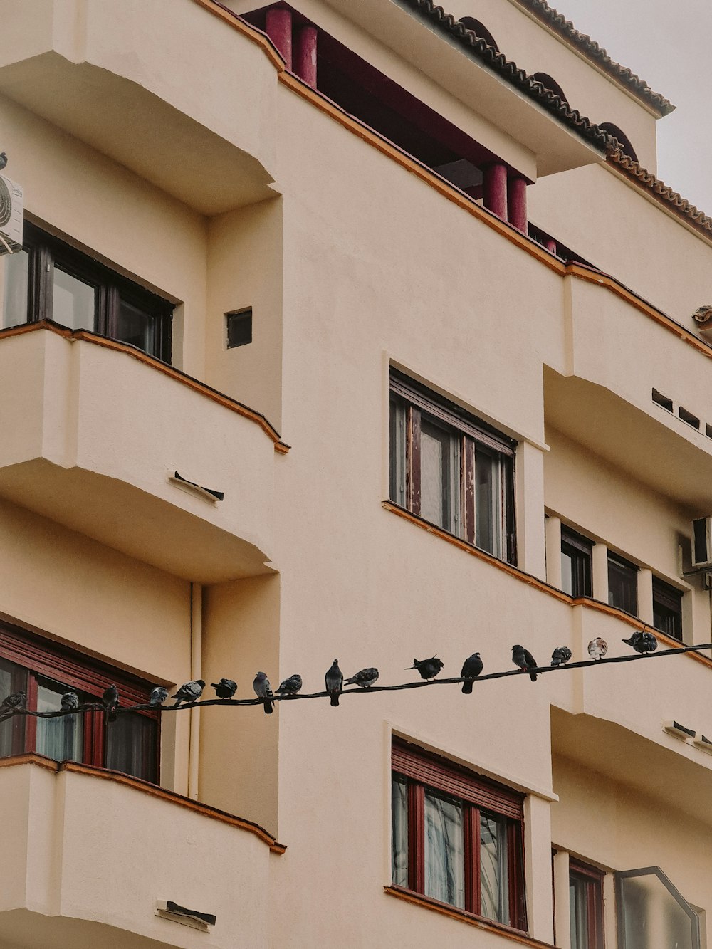 a flock of birds sitting on a wire in front of a building