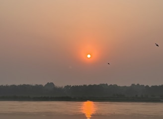 A tranquil river reflecting the sunset with birds flying overhead.